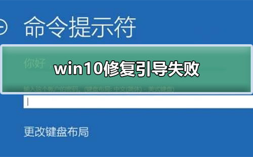 安装win10引导选择失败6