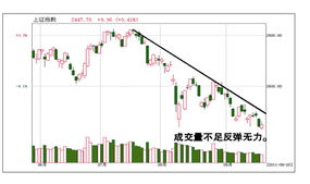 市场扩容是什么意思