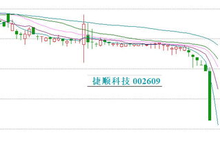 0.45质押率股票什么意思