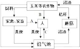 如何利用农业生态学各种原理提高系统的能量利用效率(农业生态系统能量调控的途径)