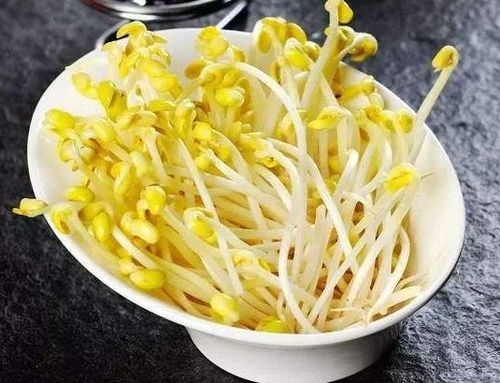 春吃豆芽能清火 但是,豆芽要这样选才对 快进来学几招