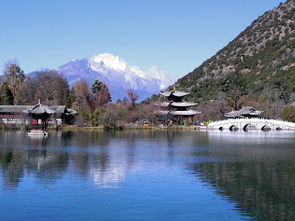 大理丽江旅游(带孩子大理和丽江哪个更值得去)