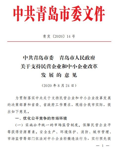 关于支持民营企业和中小企业改革发展的实施意见 