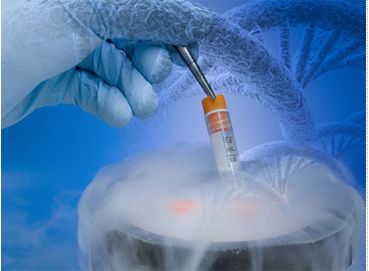 一读就懂的试管婴儿冷冻胚胎移植步骤