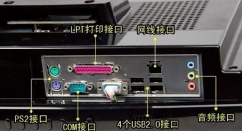 电脑后的 COM接口和 LPT接口有什么区别 