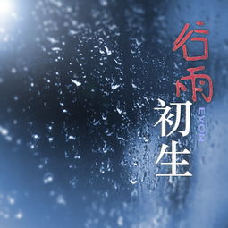 谷雨轻音乐