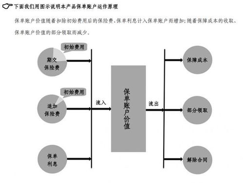 智能星怎么样