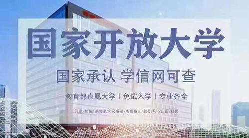 公司09年10月成立的培训学校，到现在2022年4月了，其他营业账簿、资金账簿的印花税还没交。。