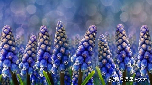 在6月份期间,将迎来桃花运的四大星座,终于获得真爱,余生幸福