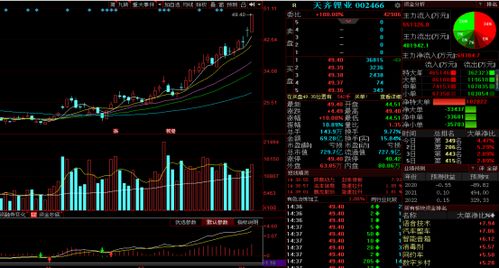 天齐锂业股票昨天181块呢今天怎么就48块了呢？