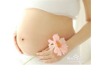 孕妇怀孕几个月会有胎动