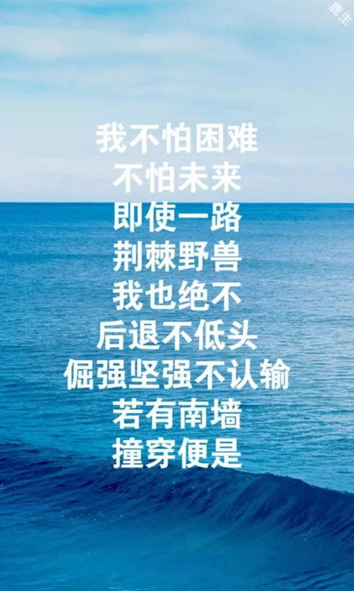 励志成功优势兴奋法则(兴奋过程占优势)