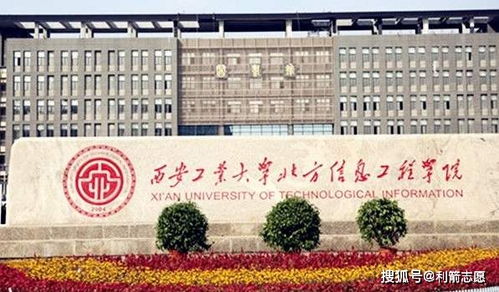 西北大学查重常见问题及解决方案