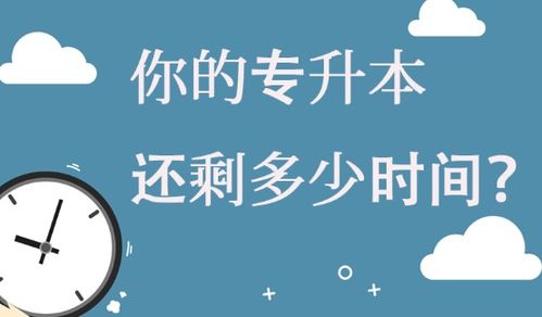 梦飞教育分享 专升本考试需要提前备考的原因