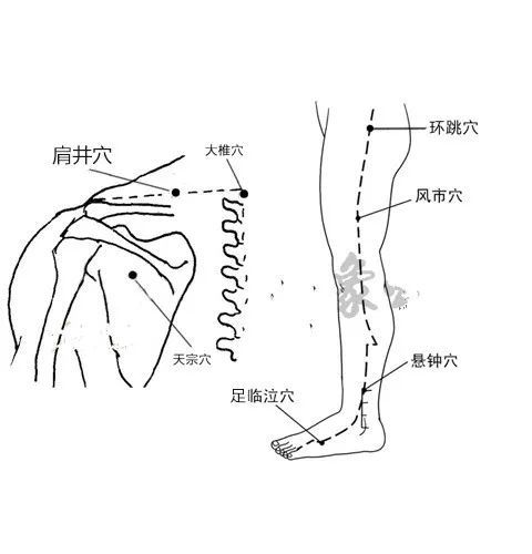 全身有48个容易瘀堵的点,把这些点拍打通,身体不会差,你知道吗