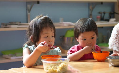 幼儿园开学后,孩子在校被欺负,除了告状就是哭 社交引导少不了