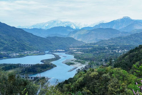 重磅 青城山 都江堰景区推出全年最优惠政策