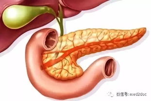 莫名的皮肤搔痒检查竟是肝癌 千万不要只捞捞痒了事