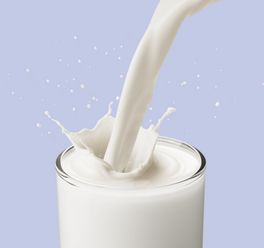 调制乳与纯牛奶的区别 主要有两点