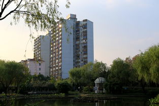 吴泾公园