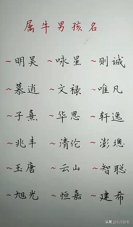 起名 出色的男孩名字,甜美大方的女孩名字