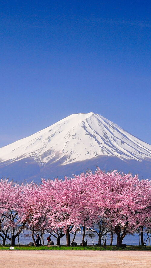 富士山高清手机壁纸 信息阅读欣赏 信息村 K0w0m Com
