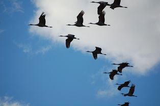 毕竟总成空——人生无常的哲理感悟，毕竟总成虚什么意思