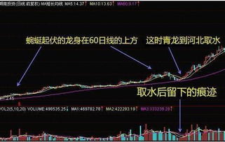 为什么会冻结资金,在哪个网站可以看5日10日60日均线图