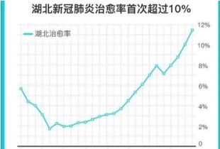 荷兰治愈率怎么这么低(荷兰治愈人数)