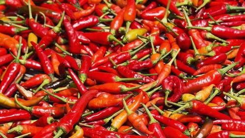 美国研究发现吃辣椒有益于延长寿命