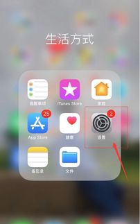 iphone照相的时候怎么开启放大镜 