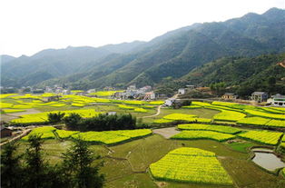 湖南岳阳平江石牛寨镇