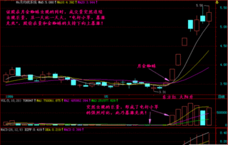 怎么看股票的增长?