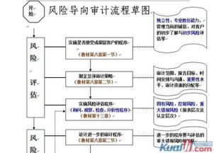 现在的审计流程都是风险导向审计吗？