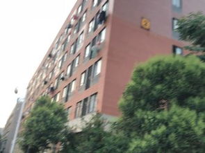 武汉青年公寓 武汉青年公寓生活服务 
