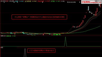 最近理想论坛的股票软件的下载区进不去？