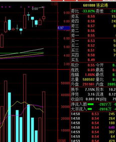 公司分股，如何建议自己要多少股份