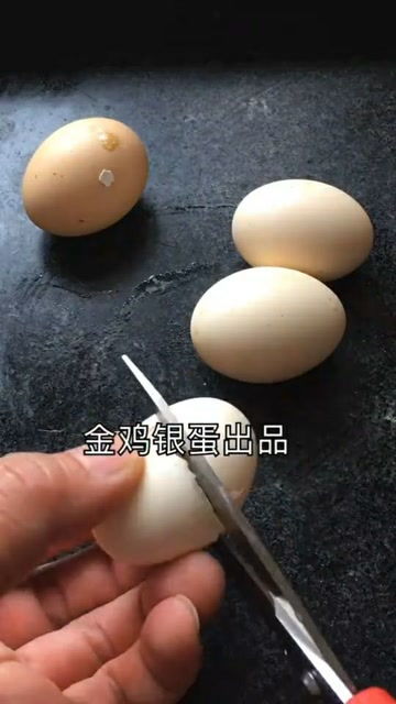 我的鸡蛋为什么没有蛋黄 