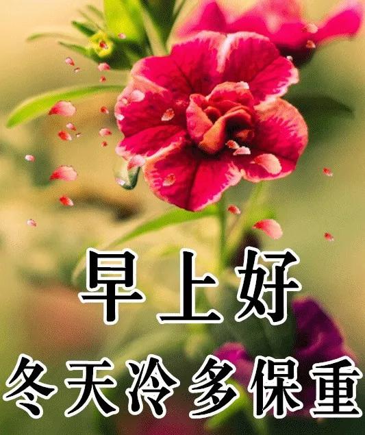 早上好 祝福图片,新的一天,祝事事顺心如意,愿你开心快乐 生活 