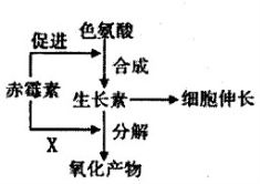 小分解查重VS传统查重：区别与优势分析