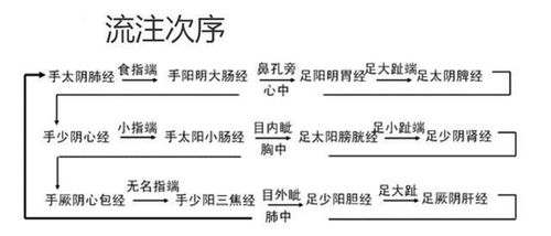 熬夜冠军,熬夜伤身到底伤在哪