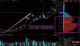 单只股票一次买入20万元是什么概念啊？对于散户来说多吗？