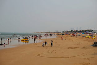 日照那个海水浴场最好(太公岛免费停车场在哪预约)