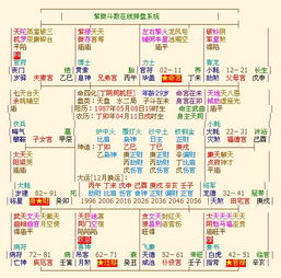 紫薇命盘 请帮忙分析一下命运和夫妻 谢谢 