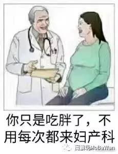 你只是吃胖了 不用每次都来妇产科