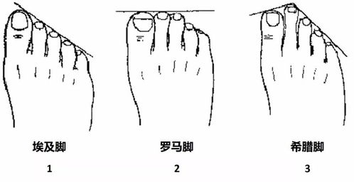 希腊脚 埃及脚 罗马脚 知道区别帮你选对球鞋