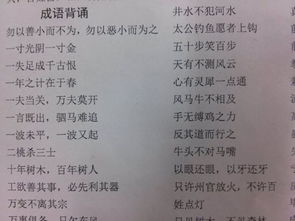 关于读书诗句或成语是什么意思是什么意思