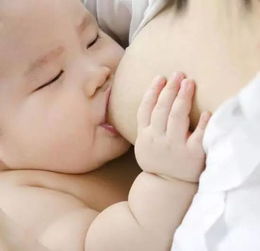 母乳的诱惑 没给孩子母乳后悔一辈子