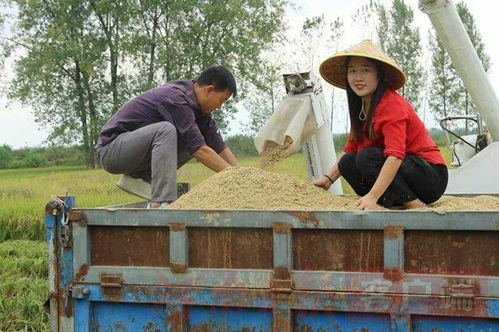 过年怪象 返乡话题只剩攀比,农村老农 为了脸面活受罪