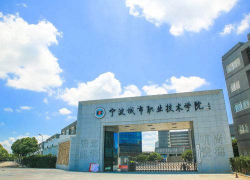 宁波职业技术学院图书馆(浙江药科职业大学奉化校区在哪里)